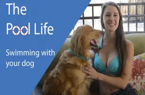 Five Tips for Swimming with Your Dog
