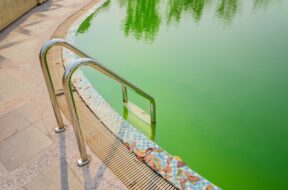 The Facts About Pool Algaecide