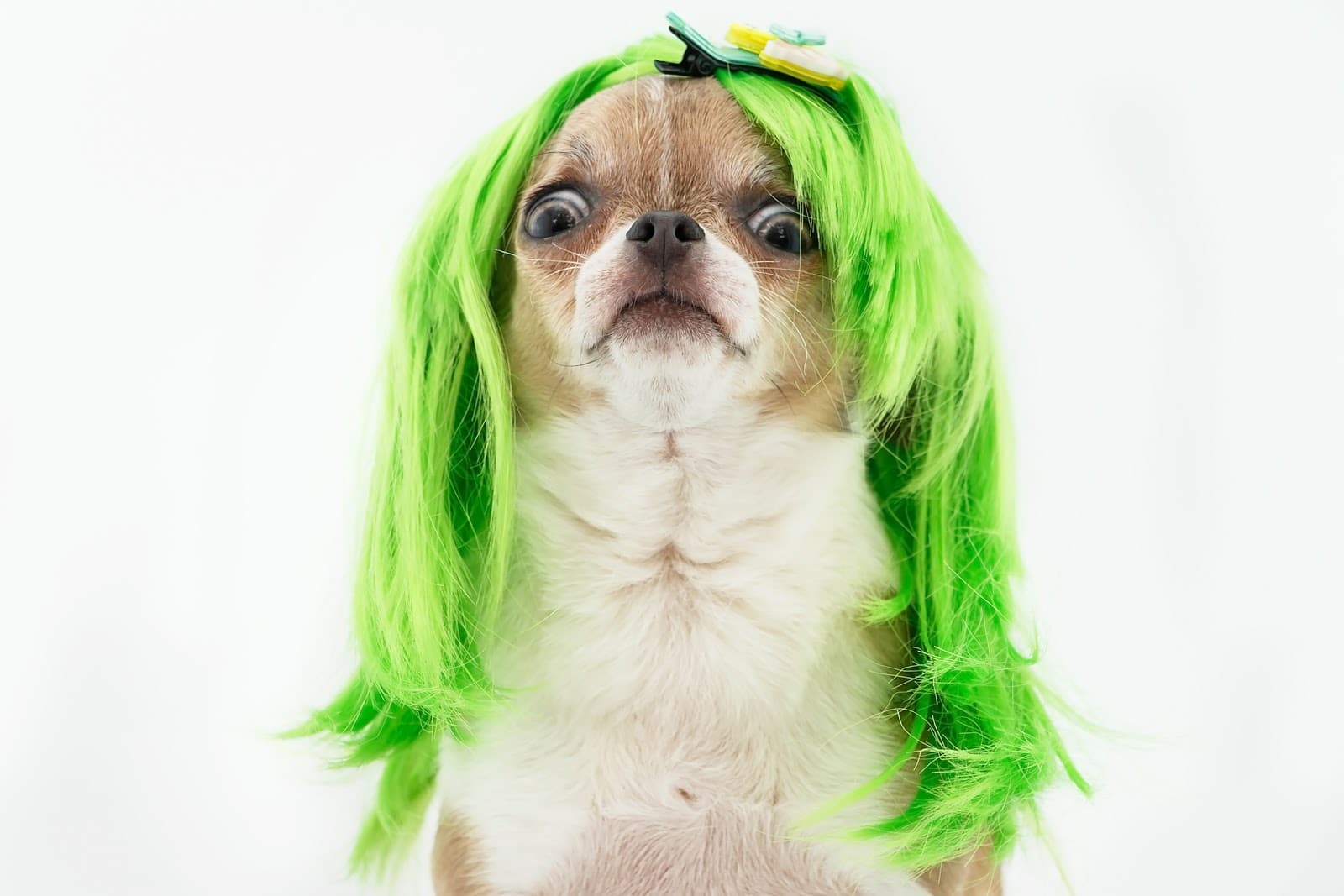 Protecting blonde hair from chlorine in the pool - wide 10