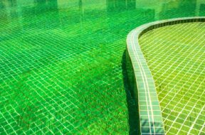 Swimming Pool Maintenance: Cleaning Your Green Pool