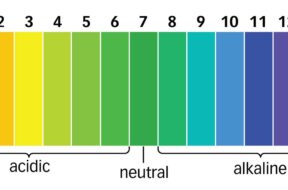 What Should pH levels be in Swimming Pools and Hot Tubs?