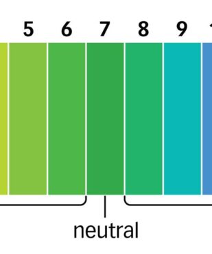 What Should pH levels be in Swimming Pools and Hot Tubs?