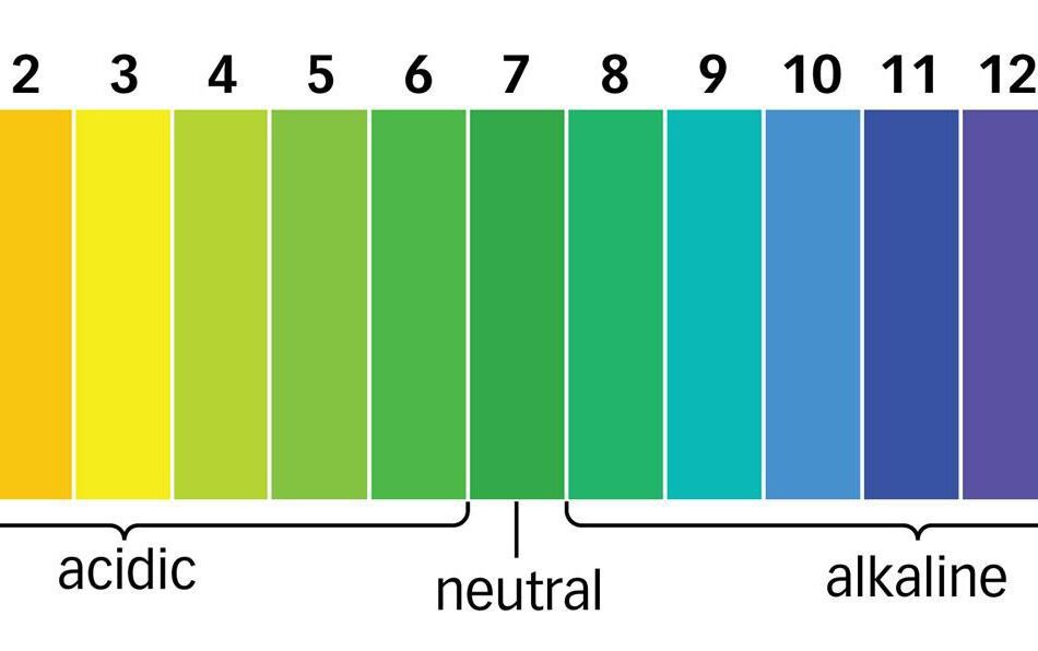 What Should pH levels be in Swimming Pools and Hot Tubs?