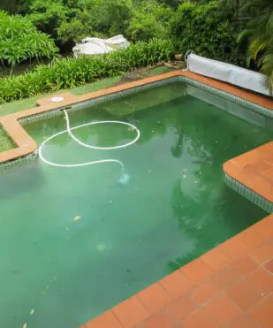 Swimming Pool Algae: What it is and How to Remove It