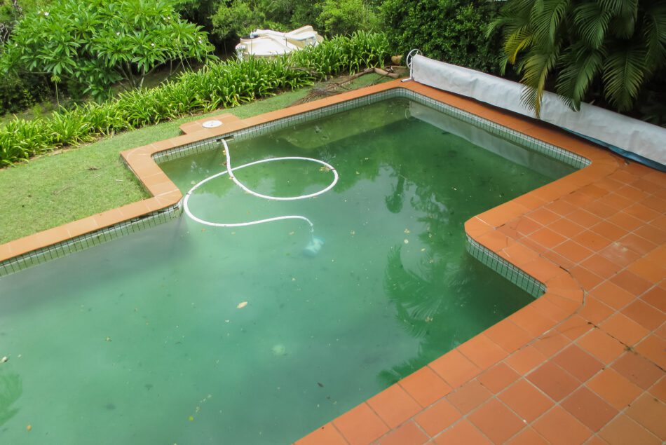 Swimming Pool Algae: What it is and How to Remove It